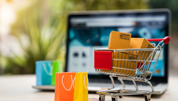 A Complete Guide: How to Build, Launch and Grow a Profitable Online Store.